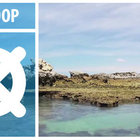 De Hoop Nature Reserve